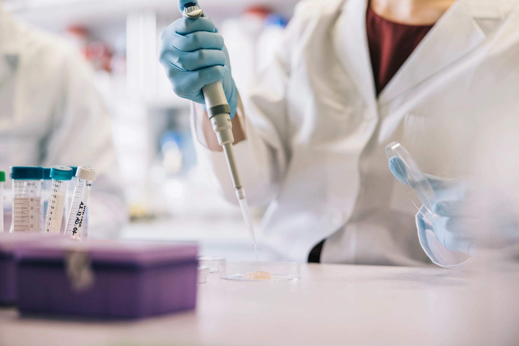 Scientist hands using a pipette for sterile sample handling